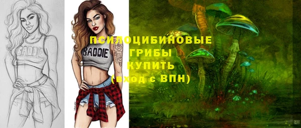 ешки Покров
