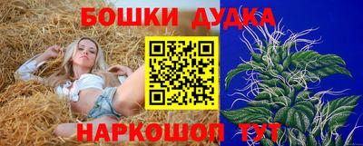 мяу мяу мука Аргун